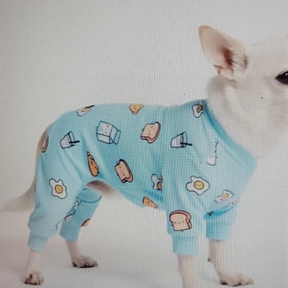 Spark Paws NWT Breakfast Blue Pajamas Sz M